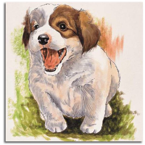 Портрет чихуа Хуа