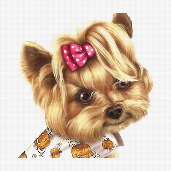 Английский кокер спаниель арт