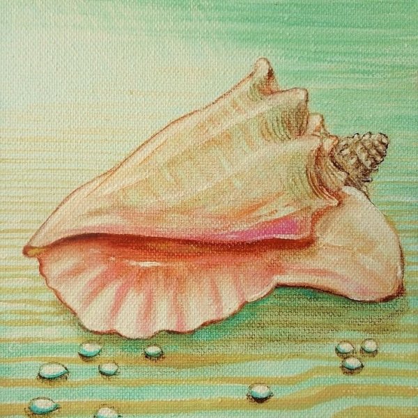 Ракушки акварелью