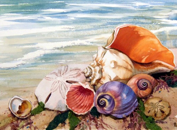 Морские раковины в живописи