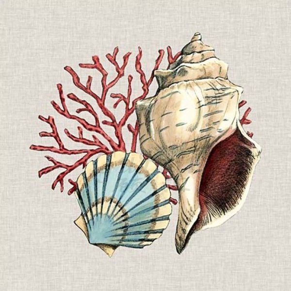 Стилизация ракушки