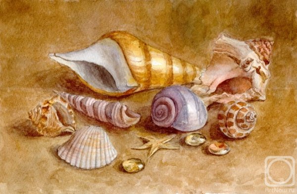 Картина морская раковина