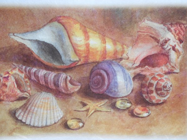 Картина морская раковина