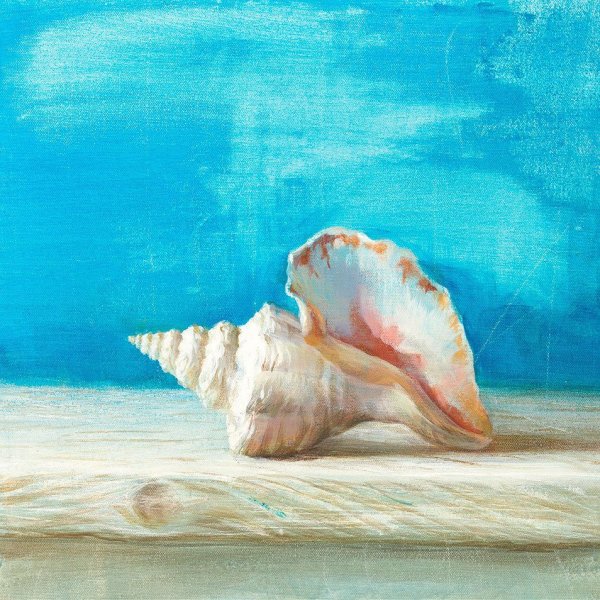 Морские раковины в живописи