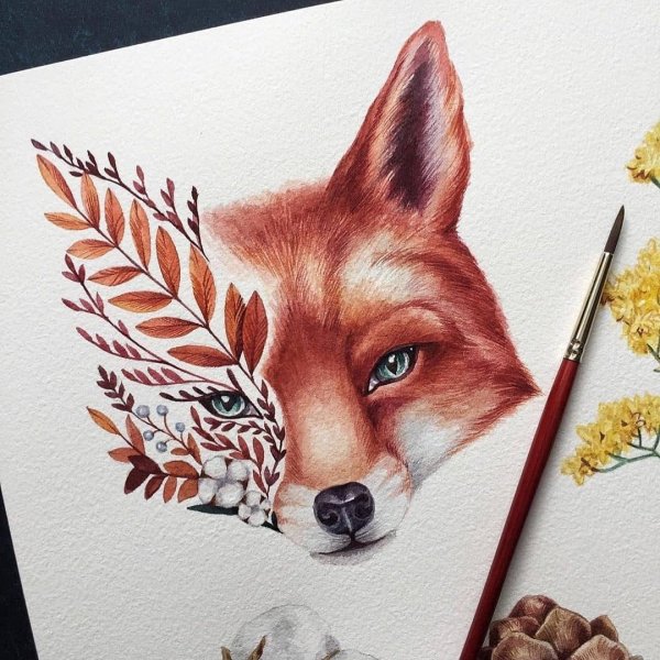 Лисичка акварель