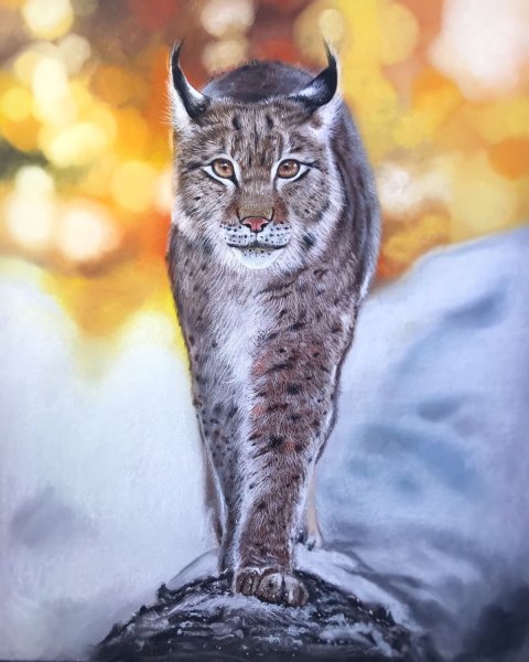 Рысь пастелью