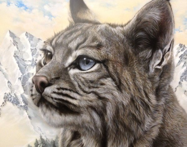 Аэрография Рысь