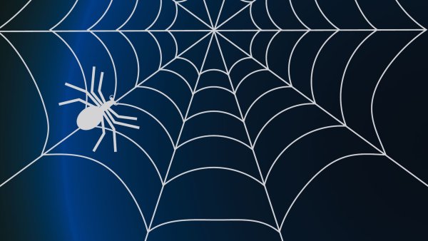 Узоры для рисования паутина