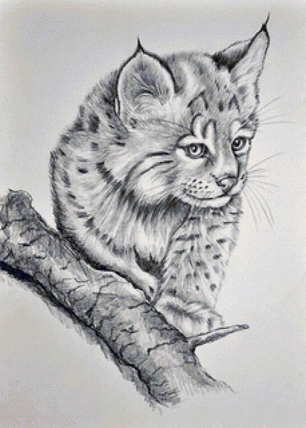 Животные карандашом