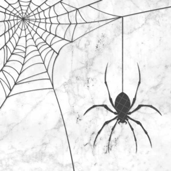 Нарисовать паутину