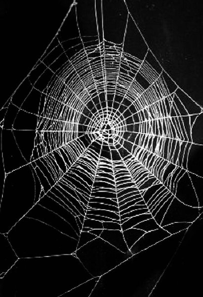 Паутина в живописи