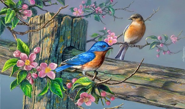 Птицы акриловыми красками