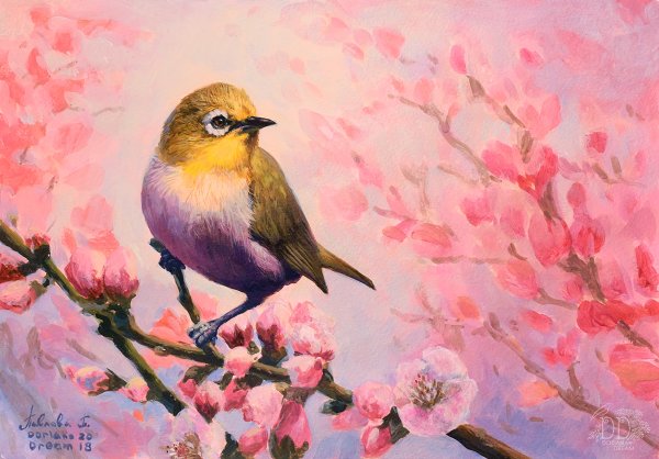 Весенние зарисовки