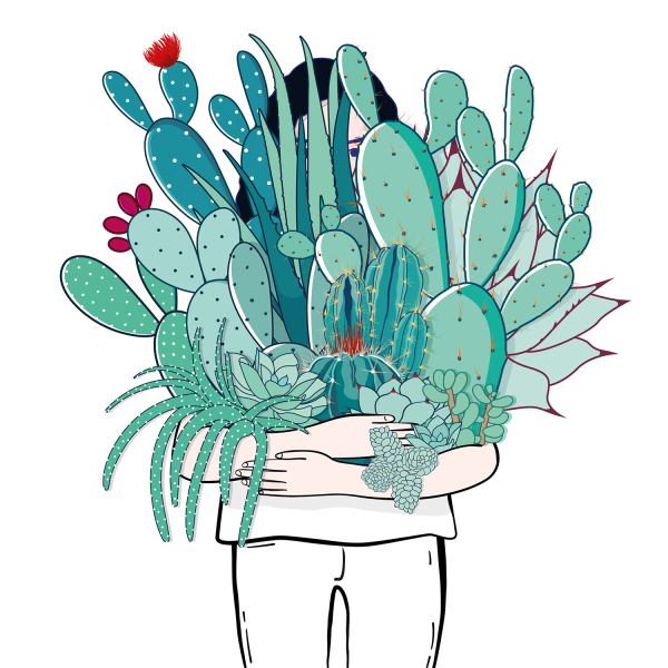 Кактус арт рисунок