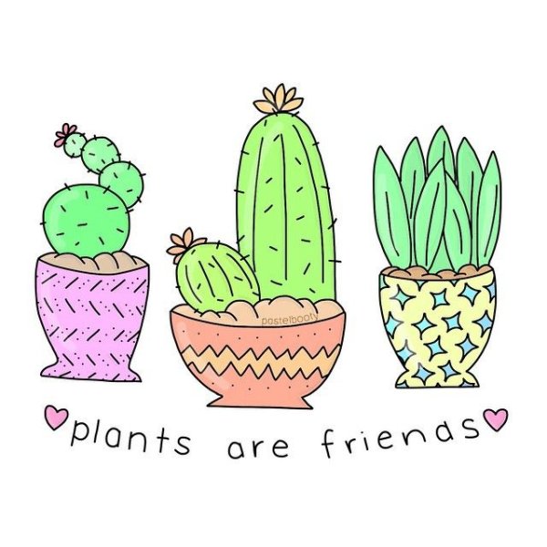 Кактусы для скетчбука