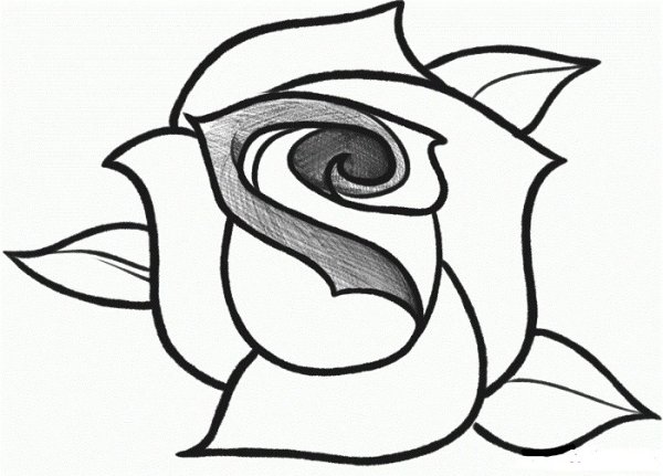 Рисунок розы для срисовки