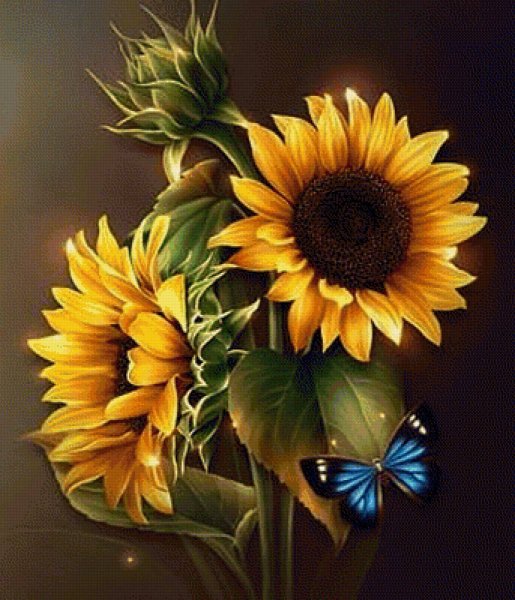 Barnali Bagchi подсолнух