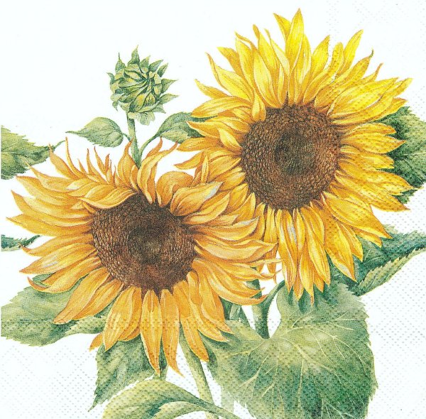 Салфетки для декупажа Подсолнухи