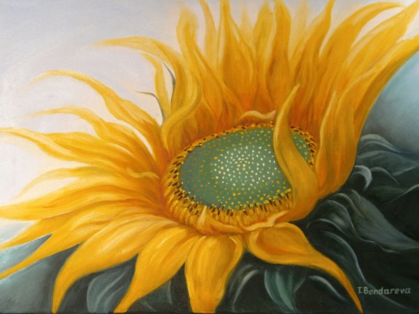 Подсолнух красками