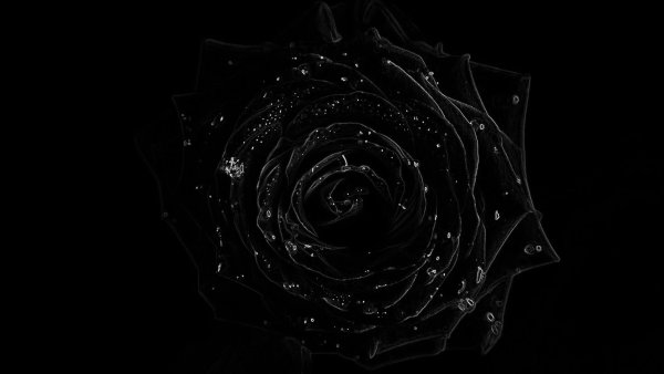 Изображение на чёрном фоне