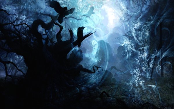 Перо на черном фоне