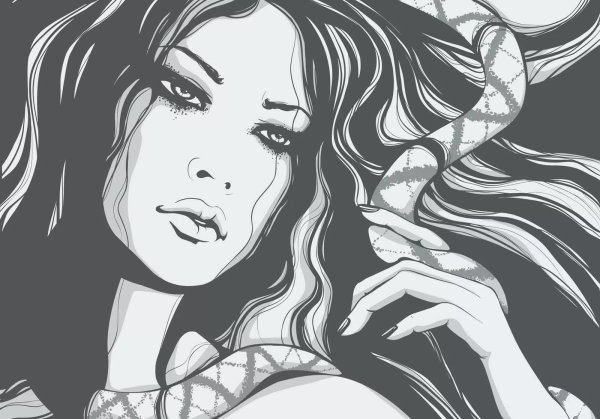 Бабочка карандашом