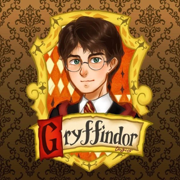 Гарри Поттер Рон и Гермиона арт