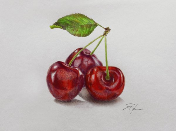 Вишня цветными карандашами