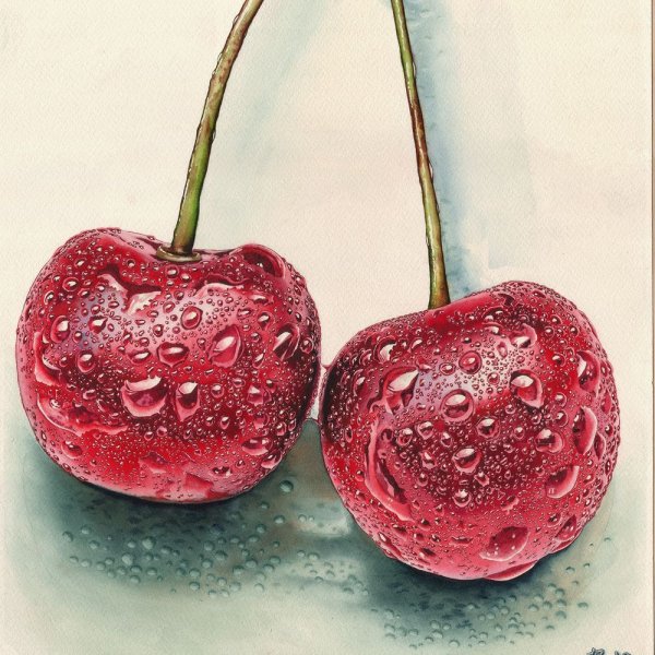 Вишня акварелью