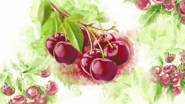 Фон вишня акварель