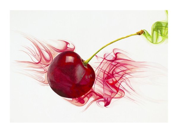 Вишня акварель на белом фоне