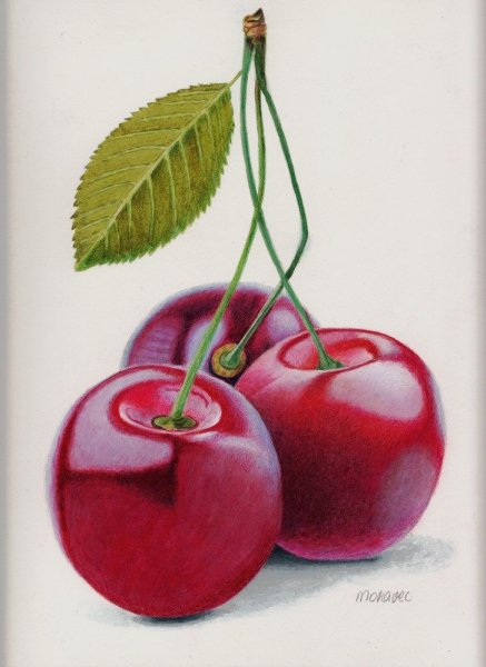 Рисование цветными карандашами фрукты