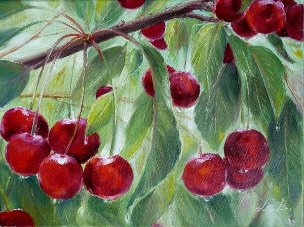 Вианора вишня художник картины