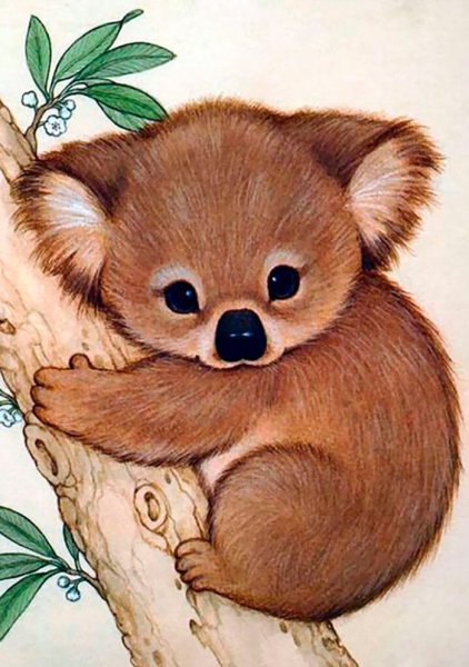 Красивые рисунки животных