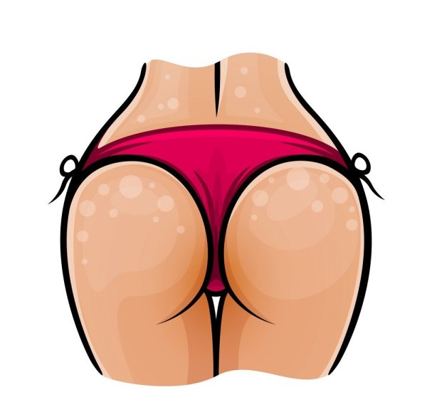 Попка рисунок