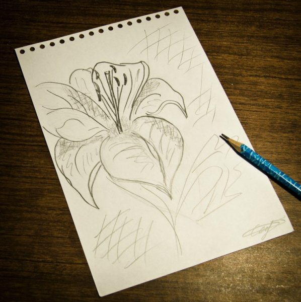 Рисование от руки