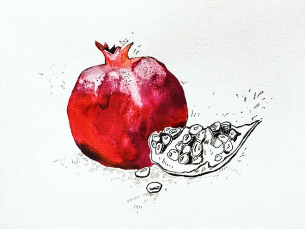 Скетчинг гранат