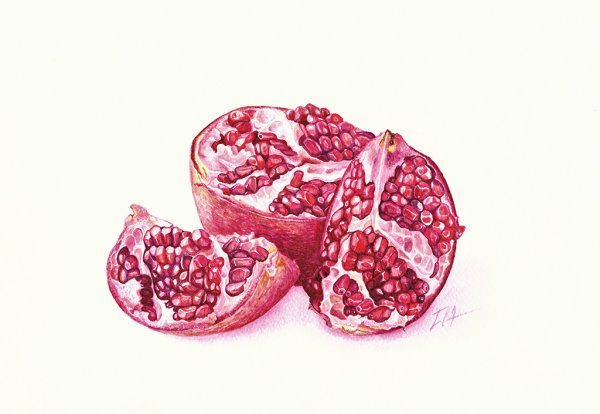 Гранат Графика