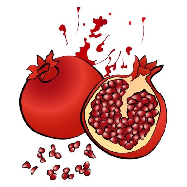 Нарисовать гранат