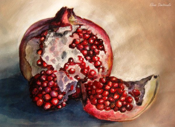 Гранат живопись акварелью