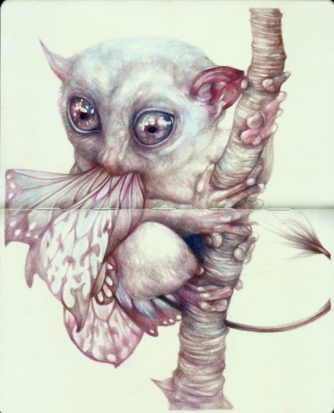 Алекс Солис милые хищники