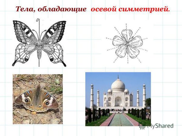 Центральная осевая параллельный перенос