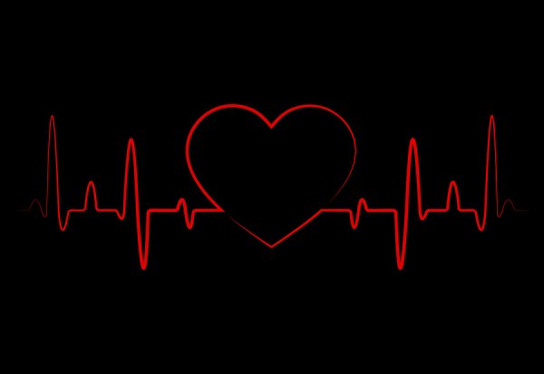 Линия биения сердца