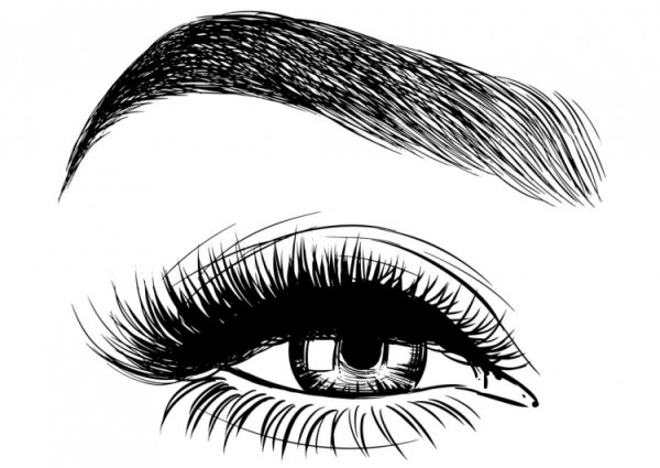 Брови рисунок