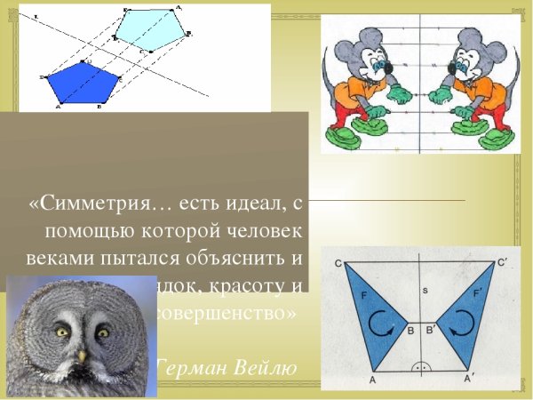 Симметричные предметы бабочка