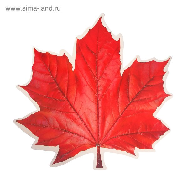 Красный кленовый лист