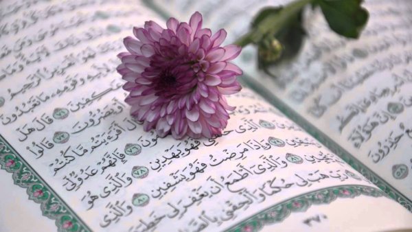 Коран Эстетика