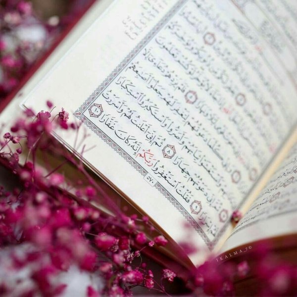 Коран и цветы