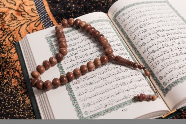 Раскрытый Коран