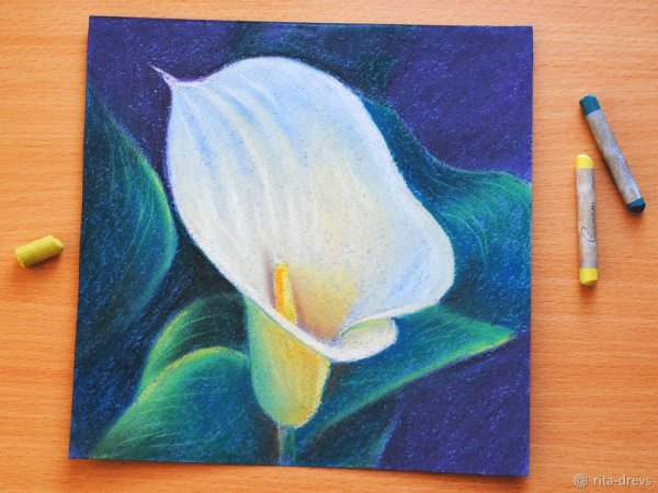 Татьяна голубь художник пастель